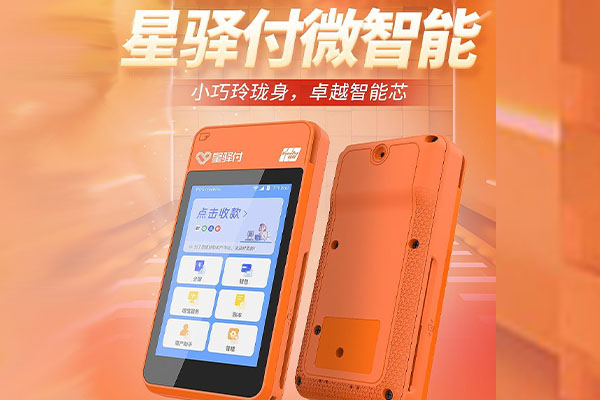 岱山国通微电签POS机